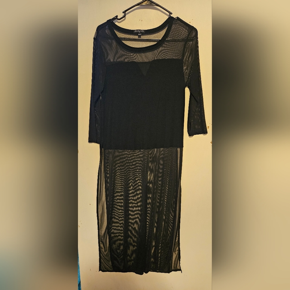 Elegant Black Sheer Dress
